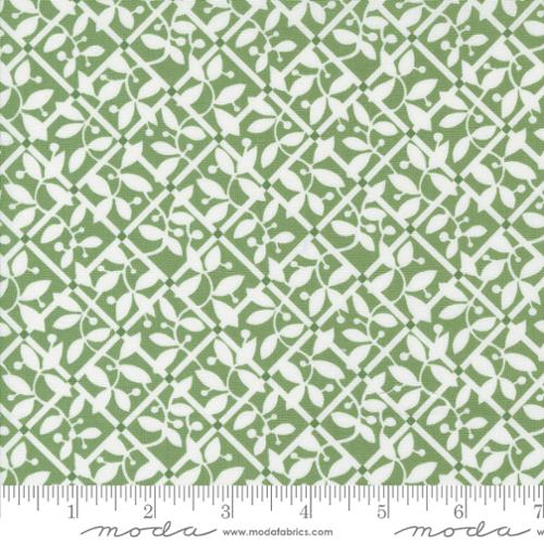 [55303-15] Green Lattice