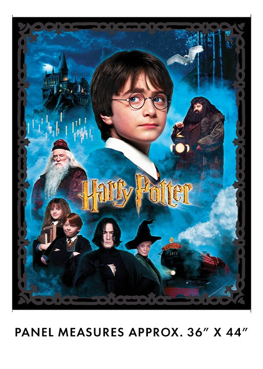 Harry Potter by Warner Brothers for Benartex