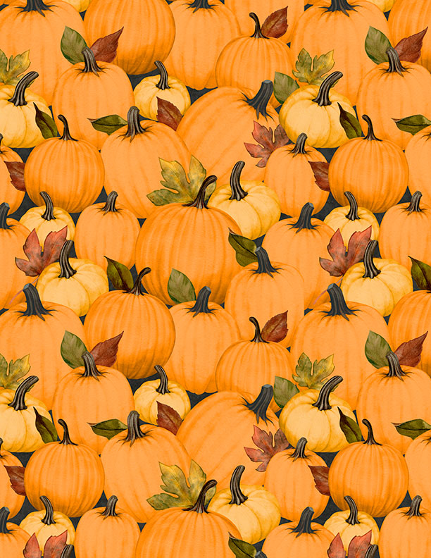 Oh My Gourd! - Pumpkin Patch Multi