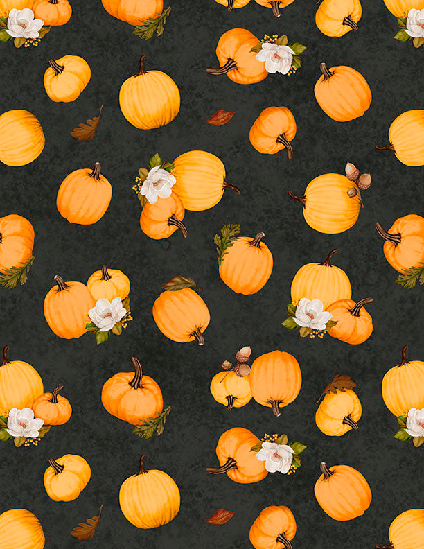 Oh My Gourd! - Tossed Pumpkins Black