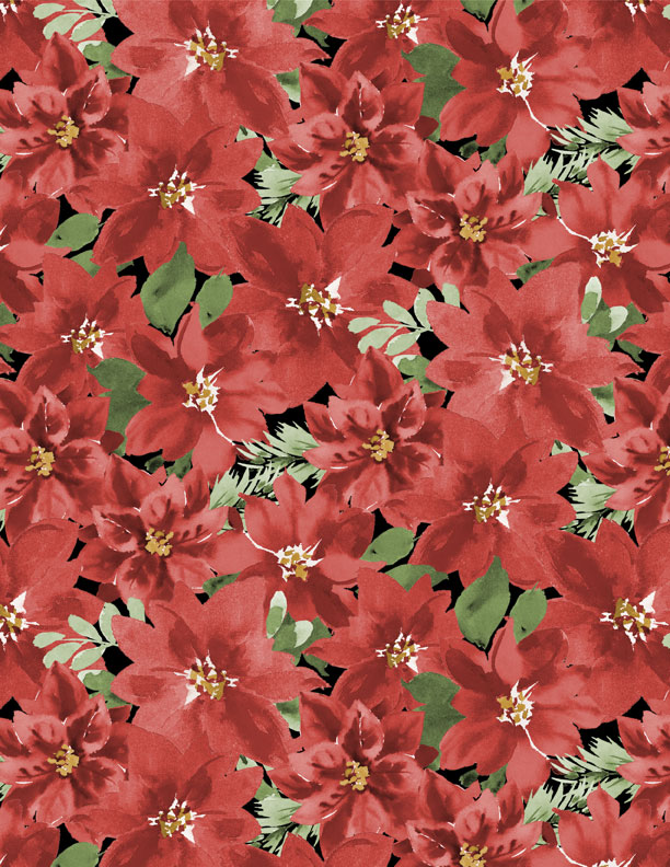 Black Packed Poinsettias