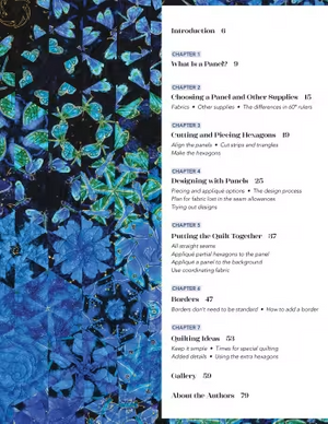 One-Block Wonder Panel Quilts