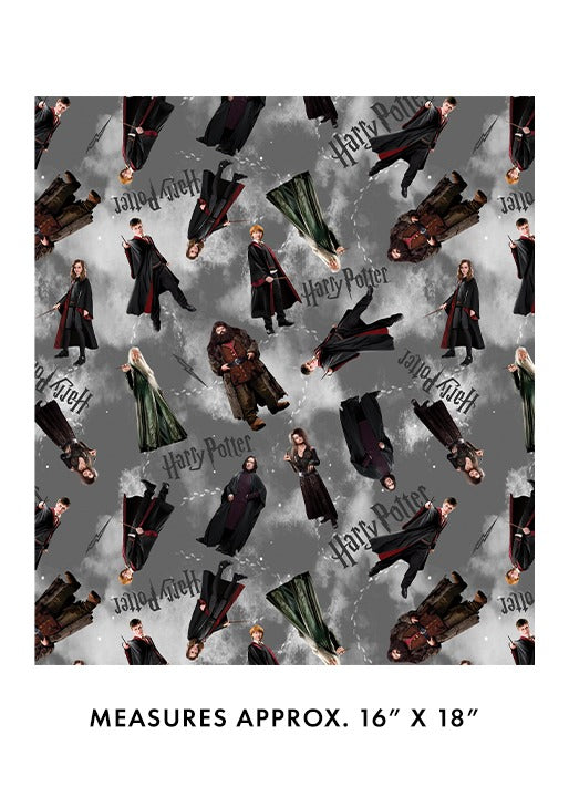 Harry Potter Characters Gray