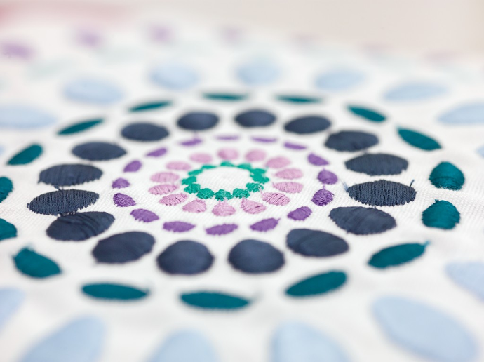 Bernina Basics Embroidery Mastery (August, September, October, November Available!)