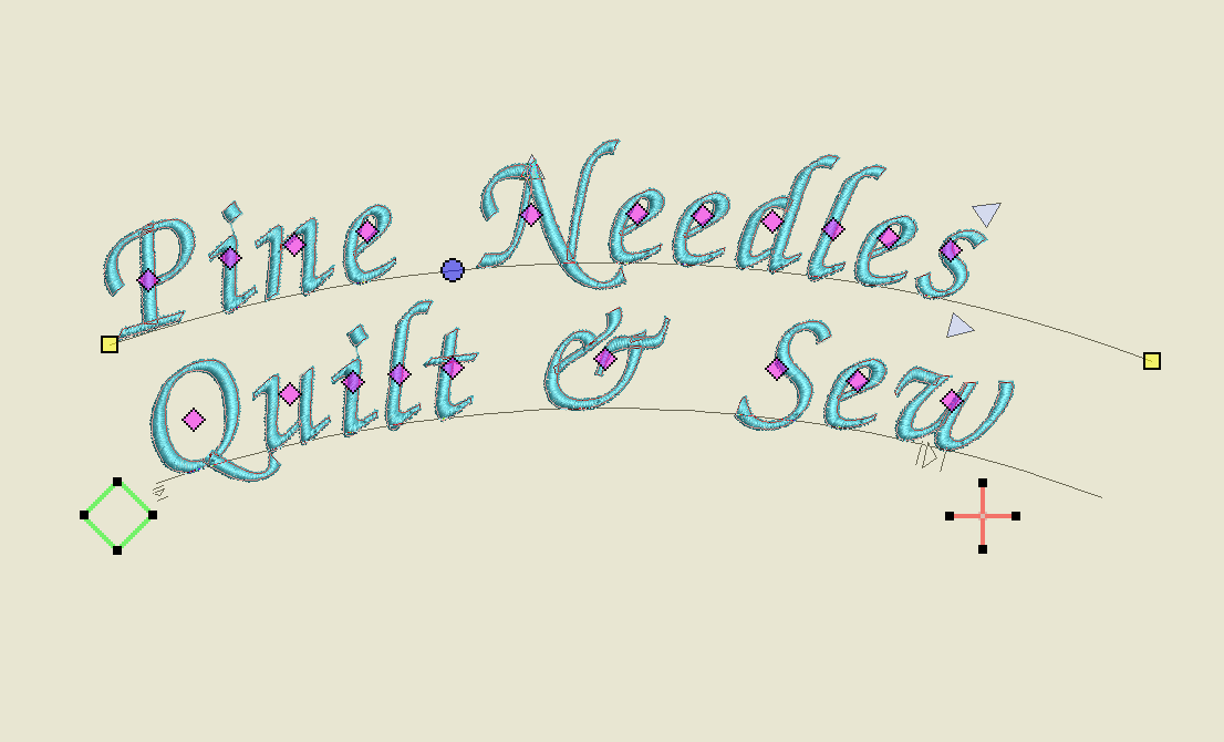 Software Skill Builder February 2026: Say It in Stitches – Lettering with BERNINA V9 (Feb 25)