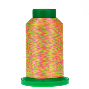 9914 Neon Brights Isacord Variegated Thread 1000m
