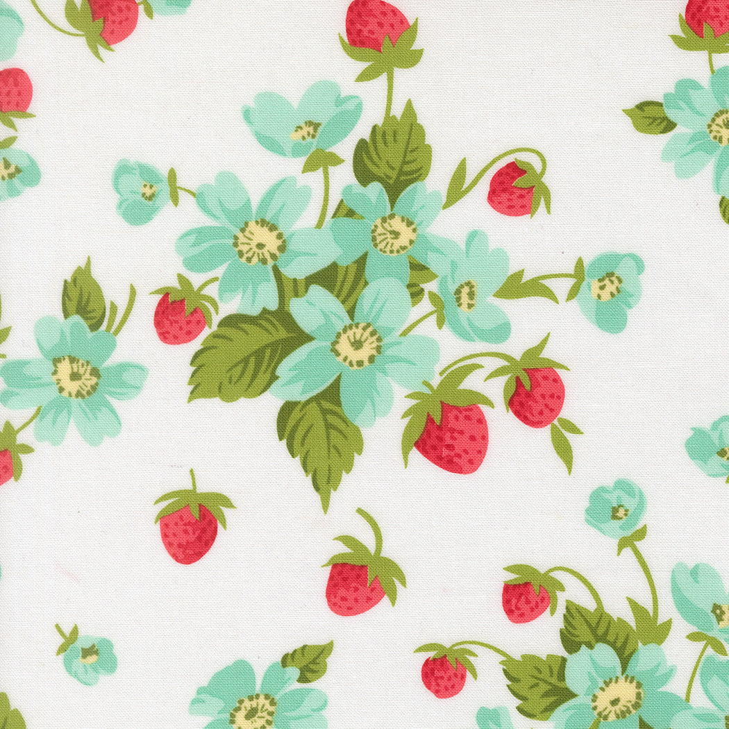 Bloomsberry White 55350-11