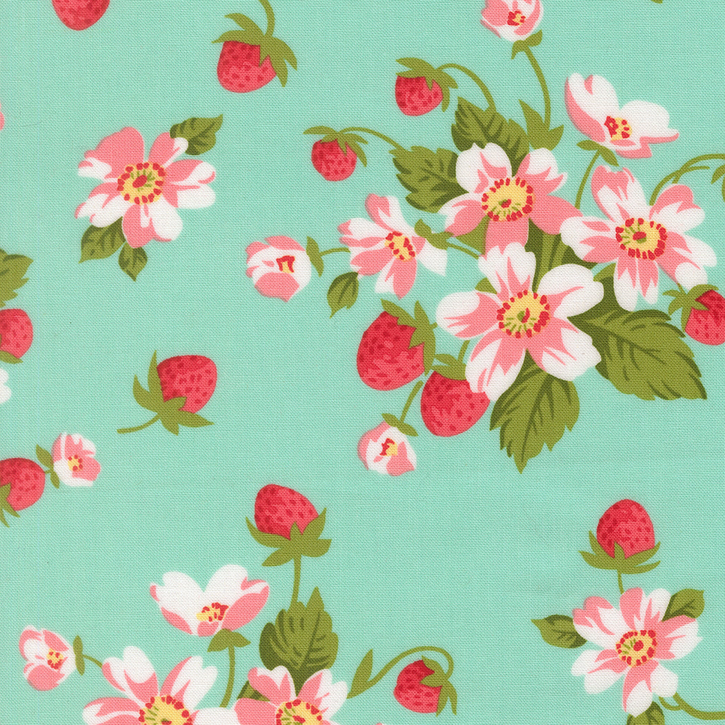 Bloomsberry Aqua 55350-13