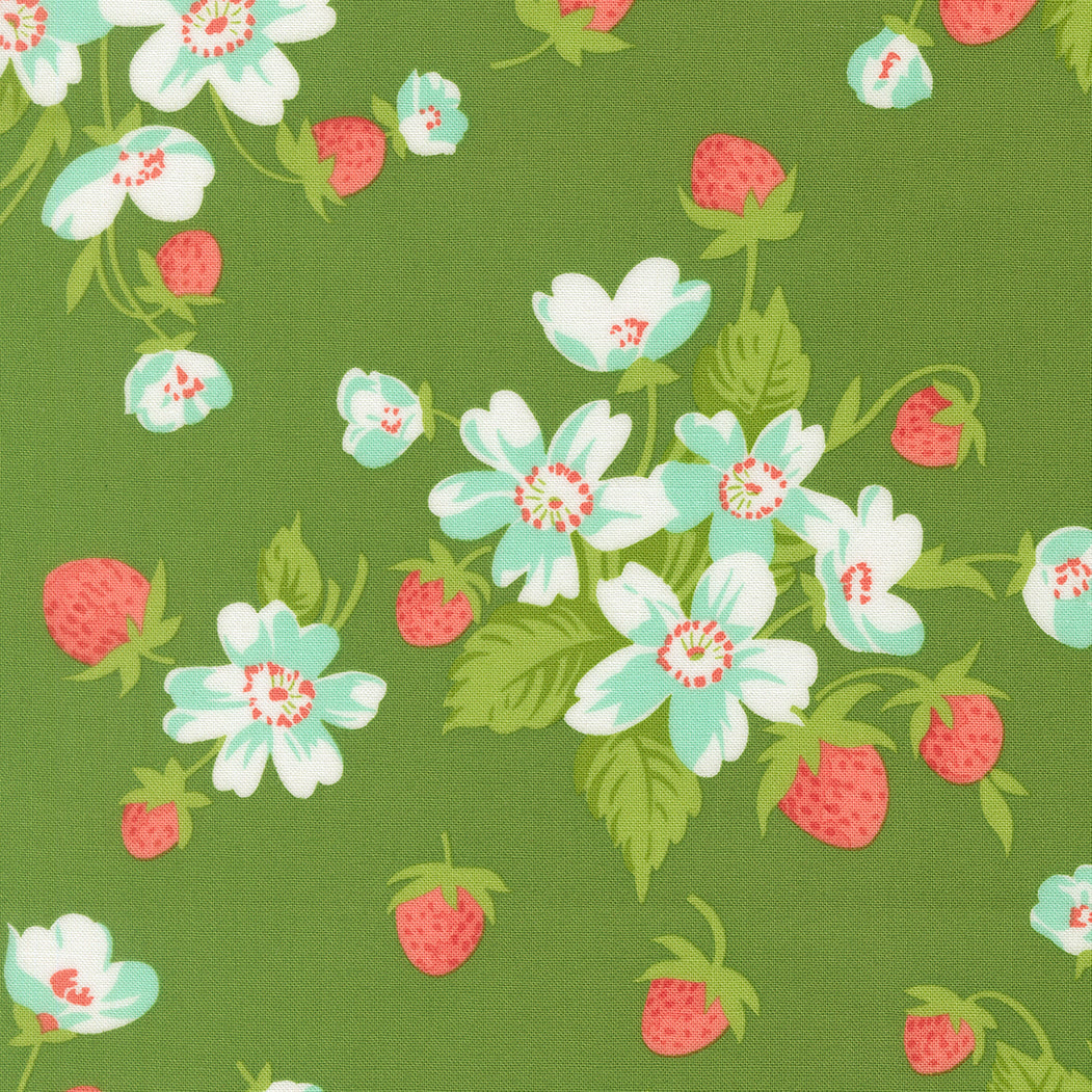 Bloomsberry Green 55350-15
