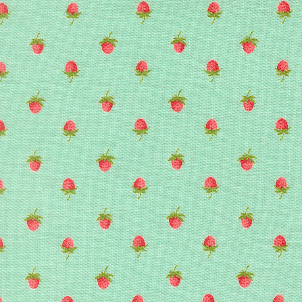 Bloomsberry Aqua 55352-13