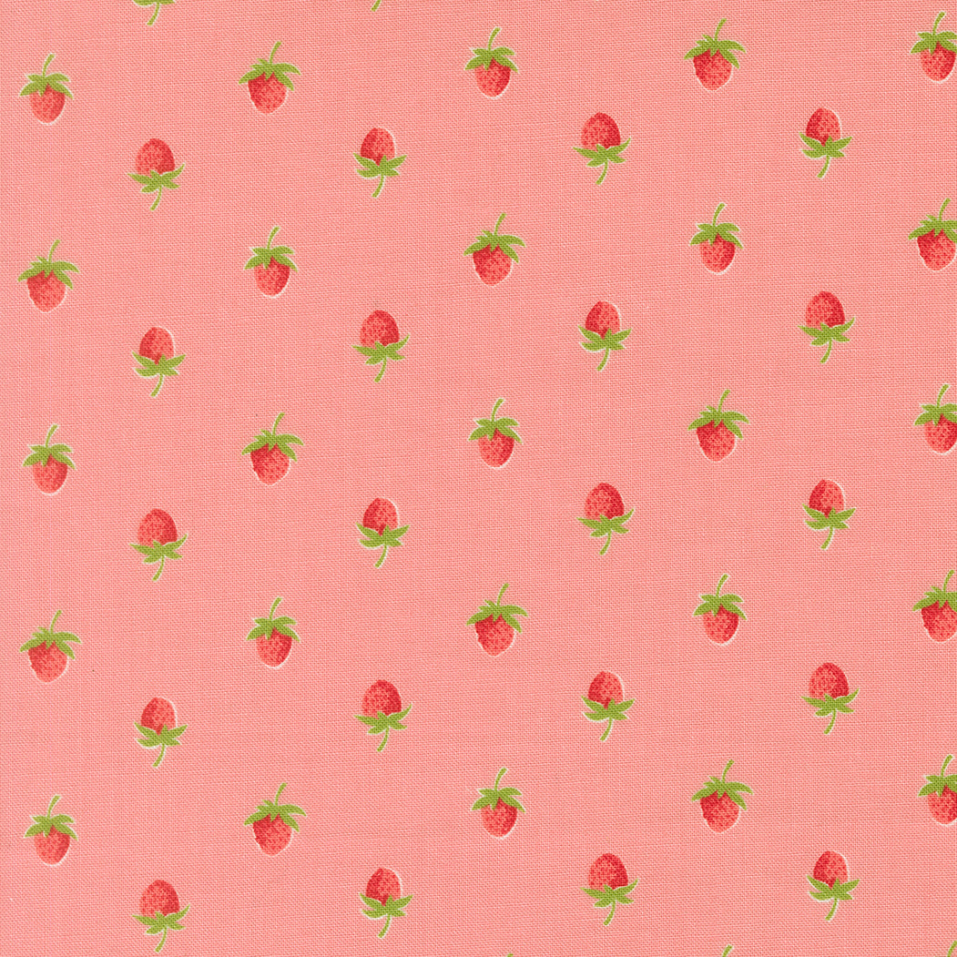 Bloomsberry Blush 55352-16