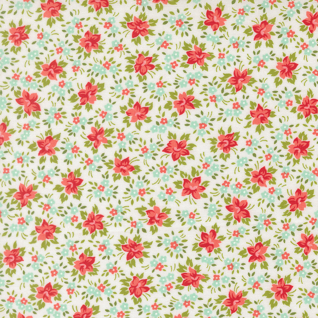 Bloomsberry White 55353-11