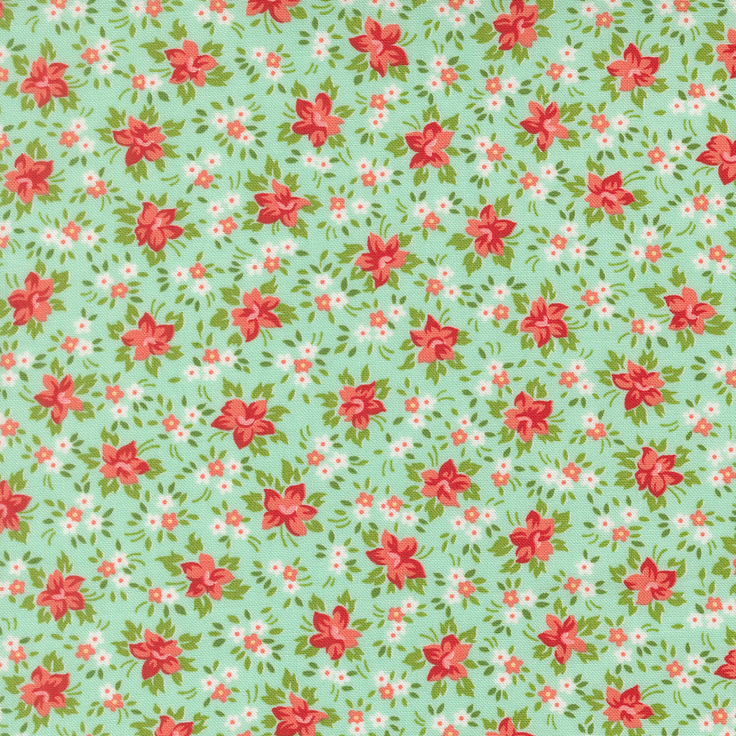 Bloomsberry Aqua 55353-13