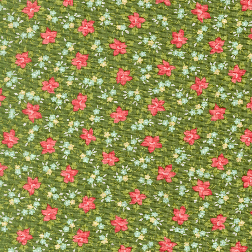 Bloomsberry Green 55353-15