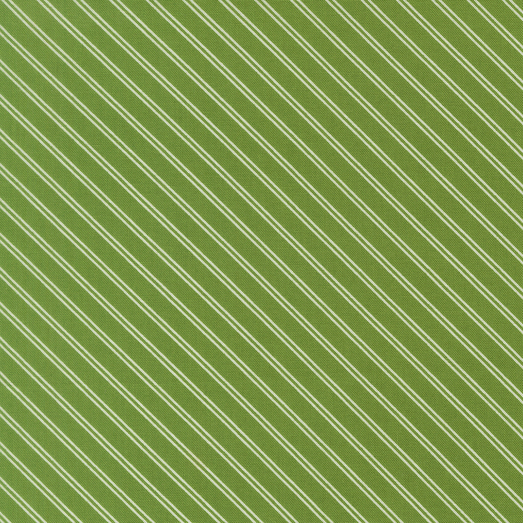 Bloomsberry Green 55355-15