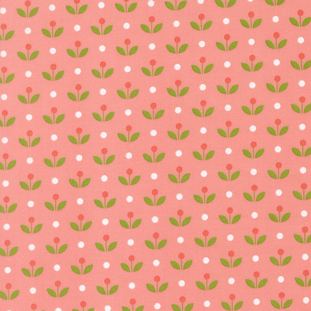 Bloomsberry Blush 55357-16