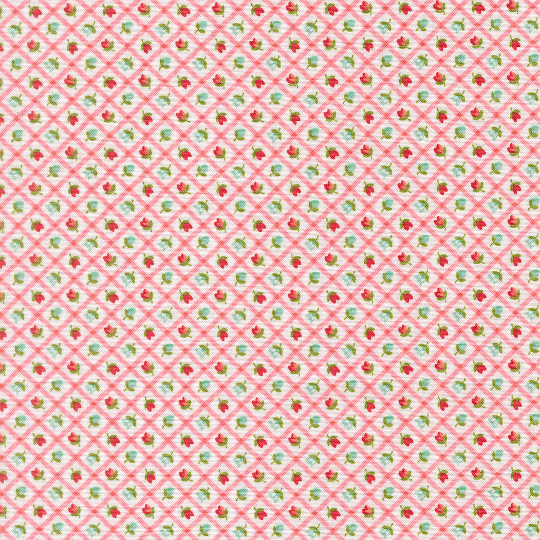 Bloomsberry Blush 55358-11