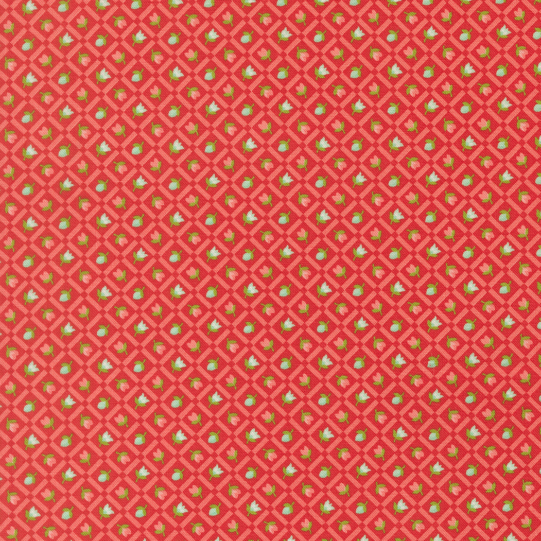 Bloomsberry Red 55358-18