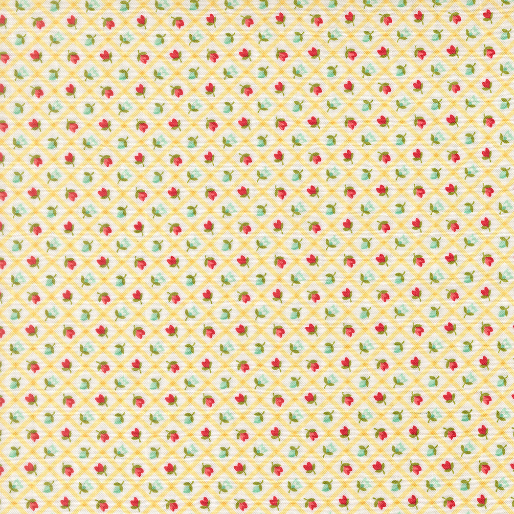 Bloomsberry Buttermilk 55358-22