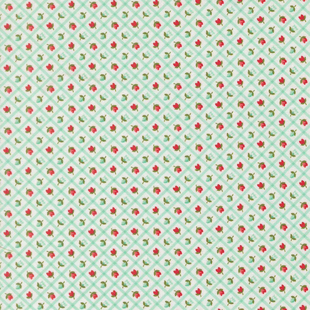 Bloomsberry Aqua 55358-23