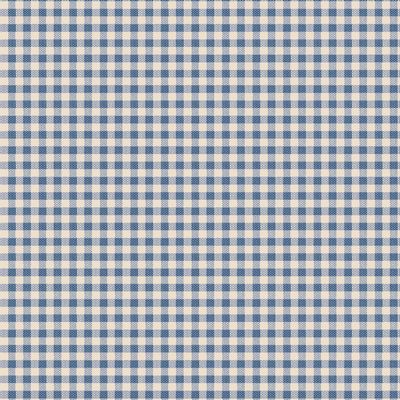 Woven Gingham Blue