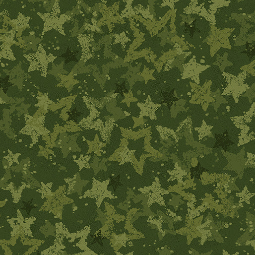 108" Star Light Holly