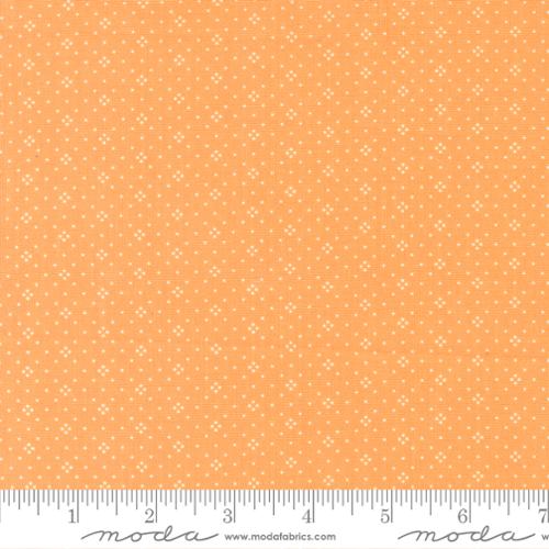 Orange Eyelet Basic Dot