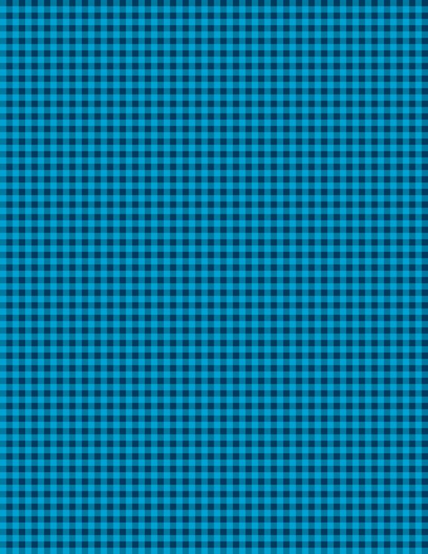 Mini Gingham Turquoise/Navy