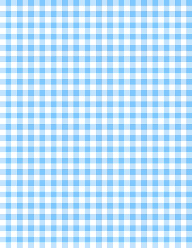 Gingham White/Baby Blue