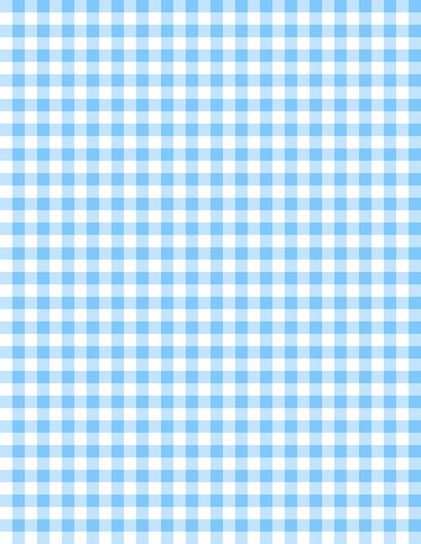 Gingham White/Baby Blue