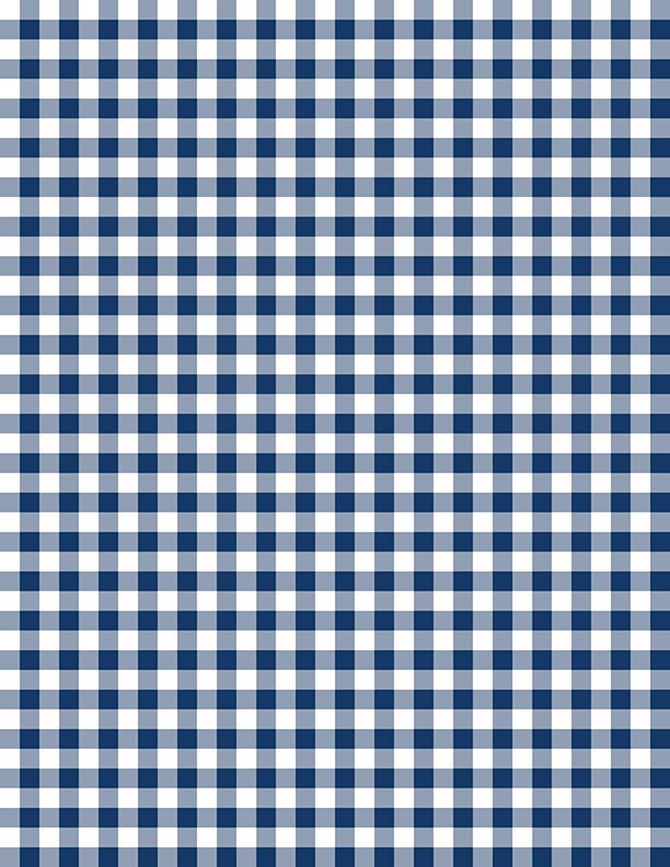 Gingham White/Navy