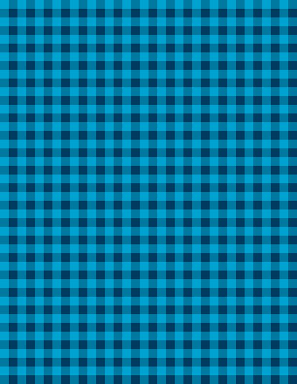 Gingham Turquoise/Navy