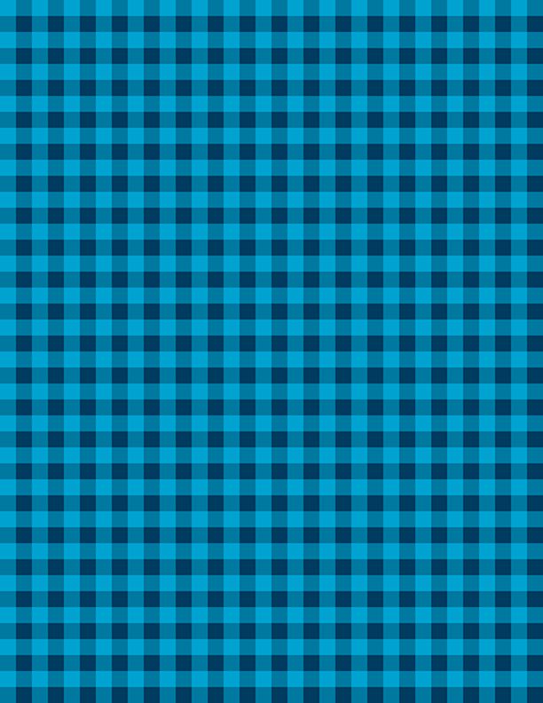 Gingham Turquoise/Navy