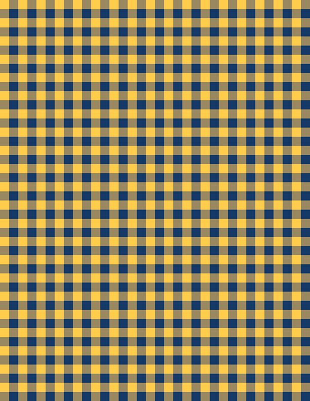 Gingham Gold/Navy