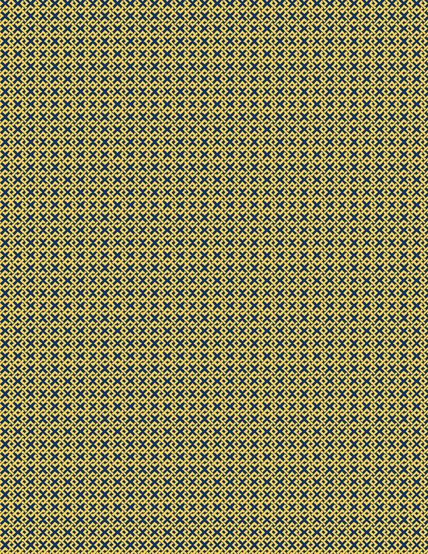 Criss Cross Two Gold/Navy