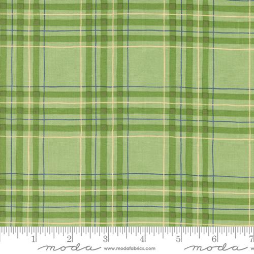 Spring Lakehouse Plaid