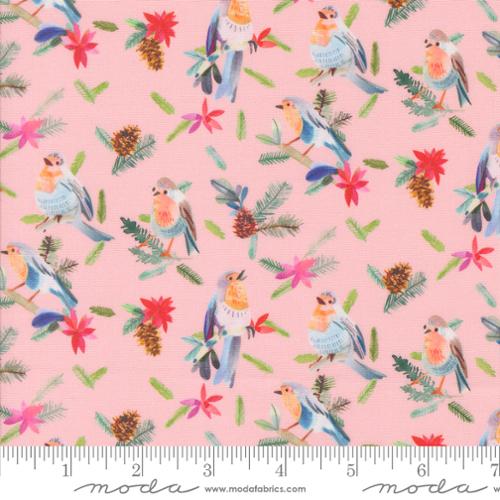 Ballet Robins With Pinecones