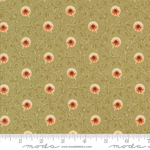 Basil Flowering Blooms