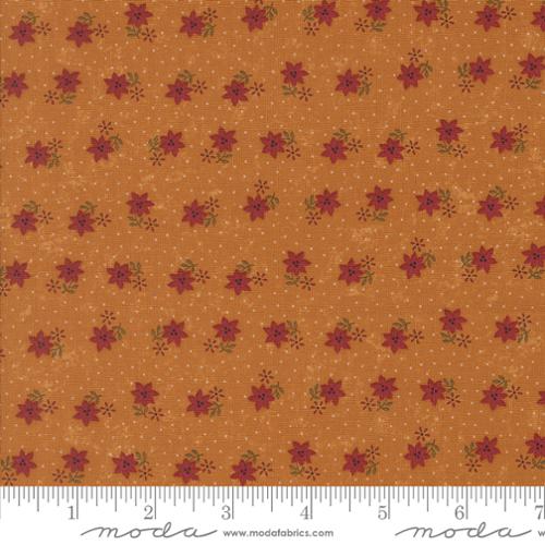 Gold Christmas Cactus