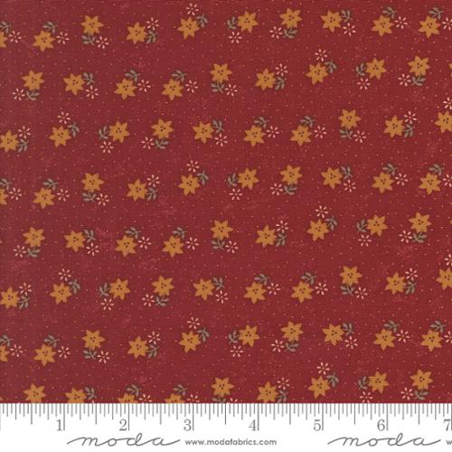 Red Christmas Cactus