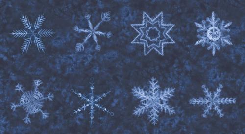 Midnight Snowflake Panel 24" x 44"