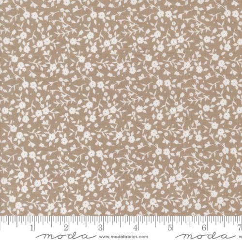 Sun Drenched Stone Floral