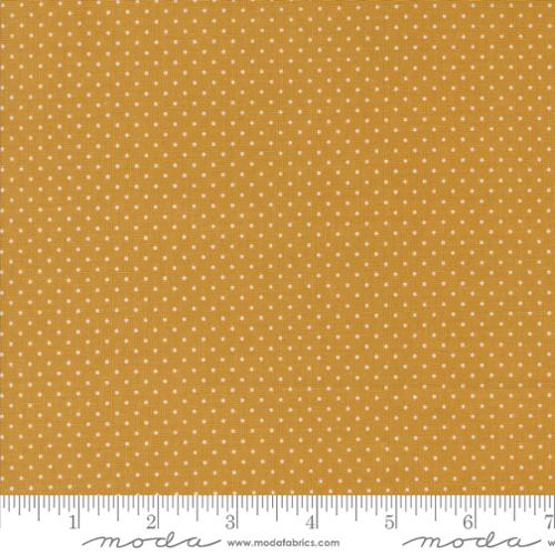 Sun Drenched Farmhouse Dots