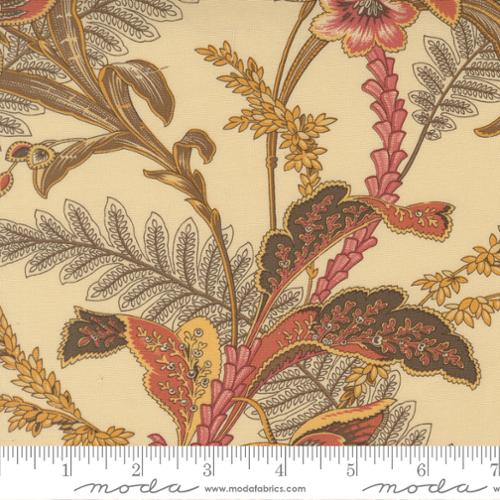 Vanilla Bean Wild Orchid