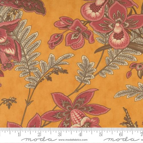 Lady Slipper Wild Orchid