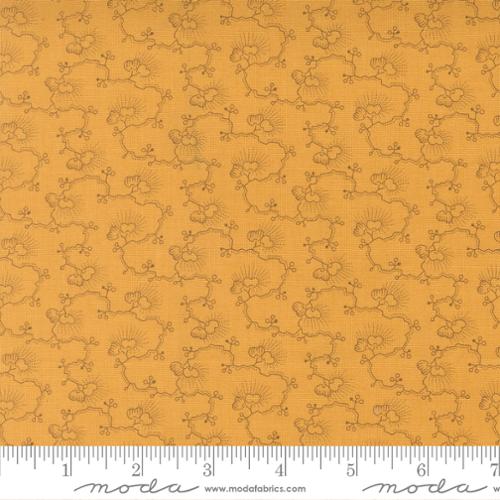 Lady Slipper Tropical