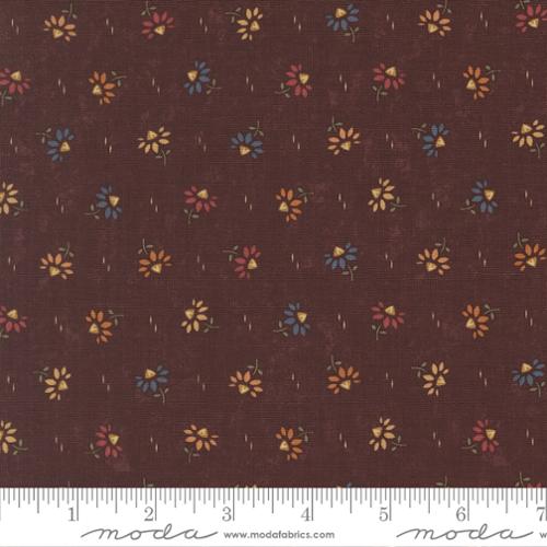 Mulberry Coneflowers