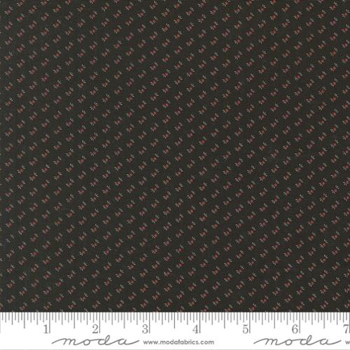 Slate Wildflower Seeds