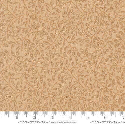 Autumn Forest Foliage