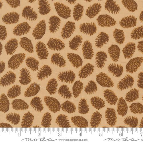 Autumn Forest Landscape